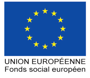 2 Logo_UE_avec_mention_FSE